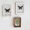 Hello Honey® 2 Pack Ivory Horn Inlay Photo Frame